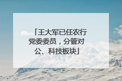 王大军已任农行党委委员，分管对公、科技板块