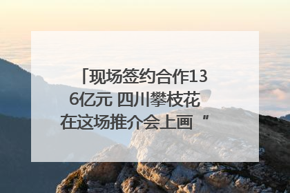 现场签约合作136亿元 四川攀枝花在这场推介会上画“图谱”列“清单”