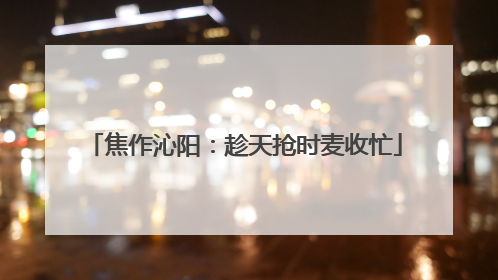 焦作沁阳：趁天抢时麦收忙