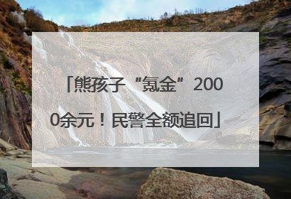 熊孩子“氪金”2000余元！民警全额追回