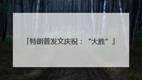 特朗普发文庆祝：“大胜”