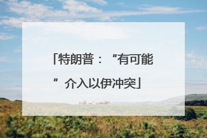 特朗普：“有可能”介入以伊冲突