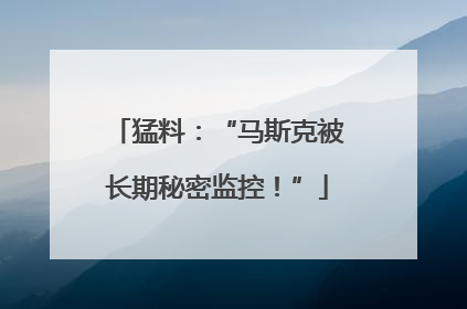 猛料：“马斯克被长期秘密监控！”