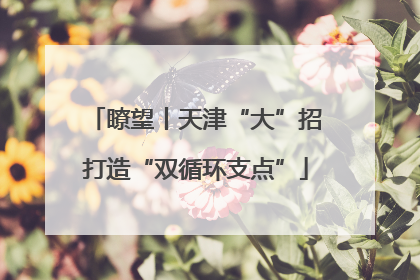 瞭望丨天津“大”招打造“双循环支点”