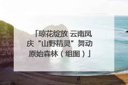 琼花绽放 云南凤庆“山野精灵”舞动原始森林（组图）