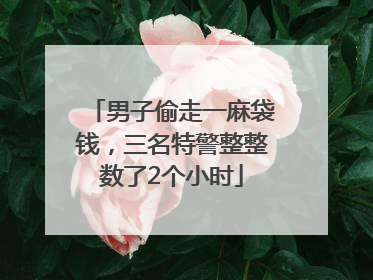 男子偷走一麻袋钱，三名特警整整数了2个小时