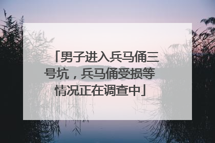男子进入兵马俑三号坑，兵马俑受损等情况正在调查中