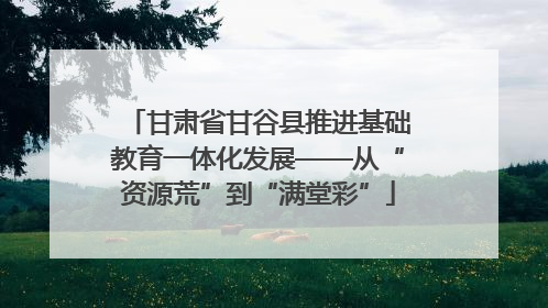 甘肃省甘谷县推进基础教育一体化发展——从“资源荒”到“满堂彩”