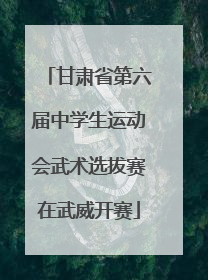 甘肃省第六届中学生运动会武术选拔赛在武威开赛