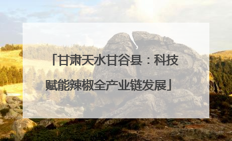 甘肃天水甘谷县：科技赋能辣椒全产业链发展
