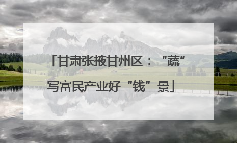 甘肃张掖甘州区：“蔬”写富民产业好“钱”景