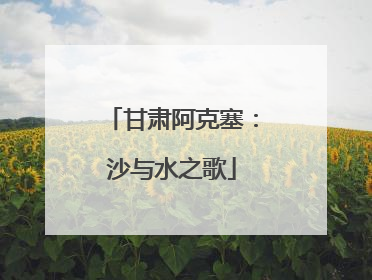 甘肃阿克塞：沙与水之歌