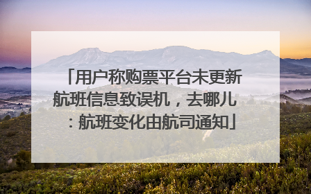 用户称购票平台未更新航班信息致误机，去哪儿：航班变化由航司通知