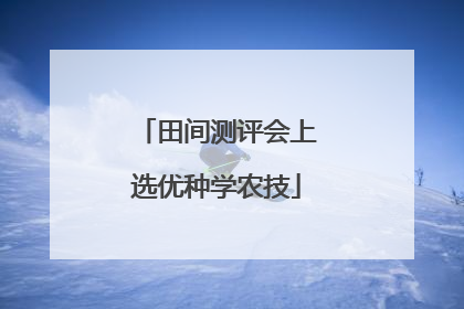 田间测评会上选优种学农技
