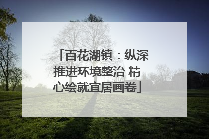 百花湖镇：纵深推进环境整治 精心绘就宜居画卷