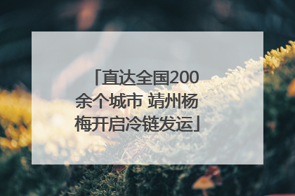 直达全国200余个城市 靖州杨梅开启冷链发运