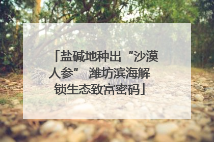 盐碱地种出“沙漠人参” 潍坊滨海解锁生态致富密码