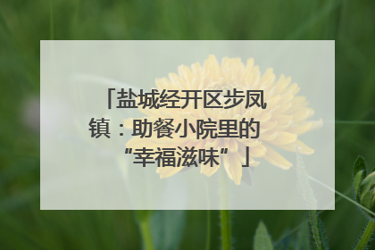 盐城经开区步凤镇：助餐小院里的“幸福滋味”