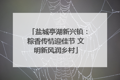 盐城亭湖新兴镇：粽香传情迎佳节 文明新风润乡村