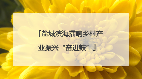 盐城滨海擂响乡村产业振兴“奋进鼓”
