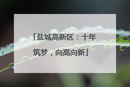 盐城高新区：十年筑梦，向高向新