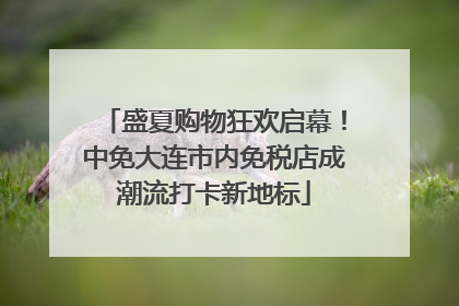盛夏购物狂欢启幕！中免大连市内免税店成潮流打卡新地标