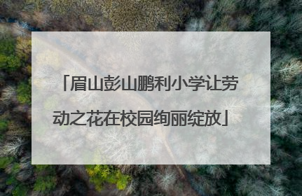 眉山彭山鹏利小学让劳动之花在校园绚丽绽放