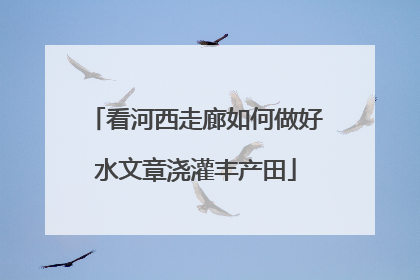 看河西走廊如何做好水文章浇灌丰产田