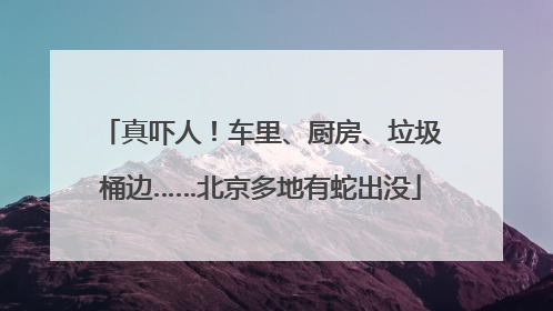 真吓人！车里、厨房、垃圾桶边……北京多地有蛇出没