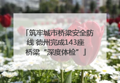 筑牢城市桥梁安全防线 德州完成143座桥梁“深度体检”