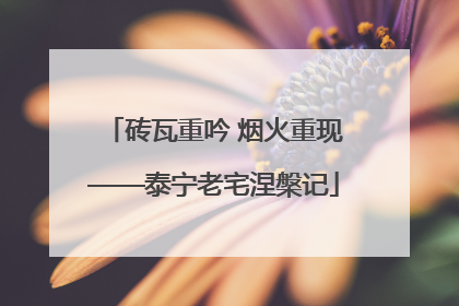 砖瓦重吟 烟火重现——泰宁老宅涅槃记