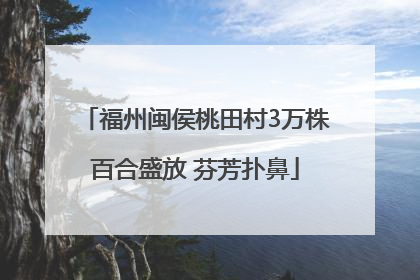 福州闽侯桃田村3万株百合盛放 芬芳扑鼻
