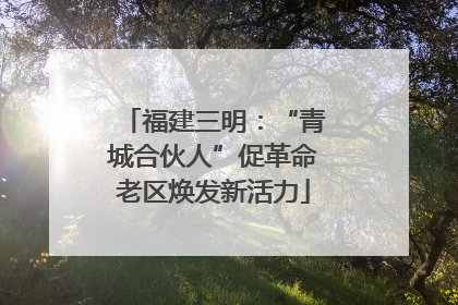 福建三明：“青城合伙人”促革命老区焕发新活力