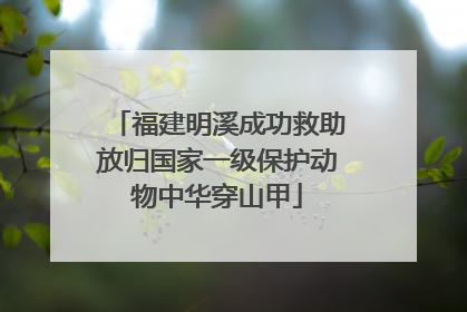 福建明溪成功救助放归国家一级保护动物中华穿山甲