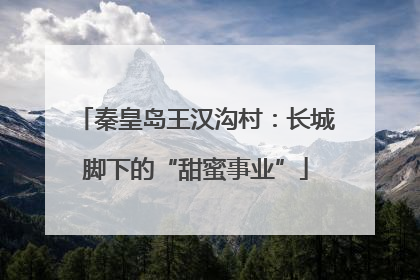 秦皇岛王汉沟村：长城脚下的“甜蜜事业”