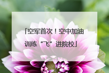 空军首次！空中加油训练“飞”进院校