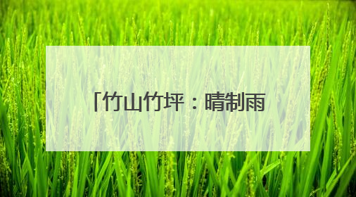 竹山竹坪：晴制雨发忙赶单 57吨大宗茶冒雨启运福建