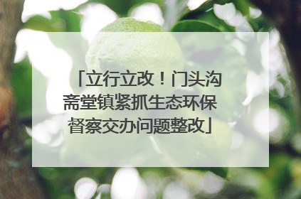 立行立改！门头沟斋堂镇紧抓生态环保督察交办问题整改