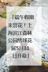 端午假期来赏花！上海滨江森林公园绣球花展5月31日开幕