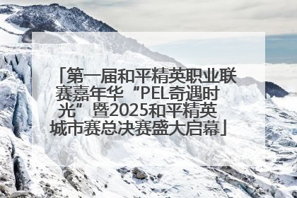 第一届和平精英职业联赛嘉年华“PEL奇遇时光”暨2025和平精英城市赛总决赛盛大启幕