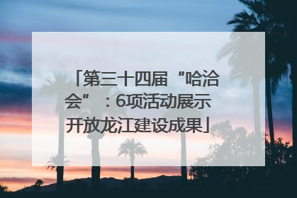 第三十四届“哈洽会”：6项活动展示开放龙江建设成果