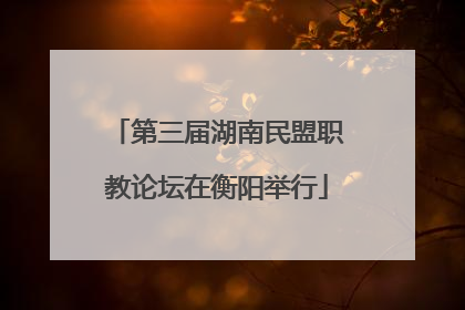 第三届湖南民盟职教论坛在衡阳举行