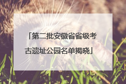 第二批安徽省省级考古遗址公园名单揭晓