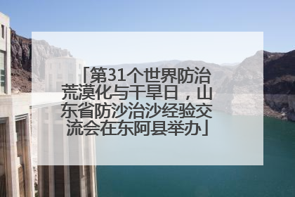 第31个世界防治荒漠化与干旱日，山东省防沙治沙经验交流会在东阿县举办