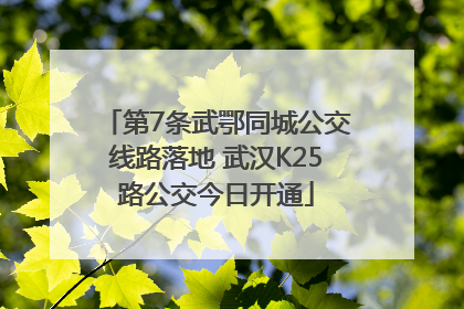 第7条武鄂同城公交线路落地 武汉K25路公交今日开通