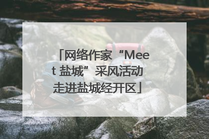 网络作家“Meet 盐城”采风活动走进盐城经开区