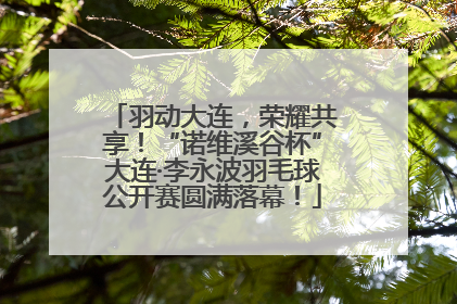 羽动大连，荣耀共享！“诺维溪谷杯”大连·李永波羽毛球公开赛圆满落幕！