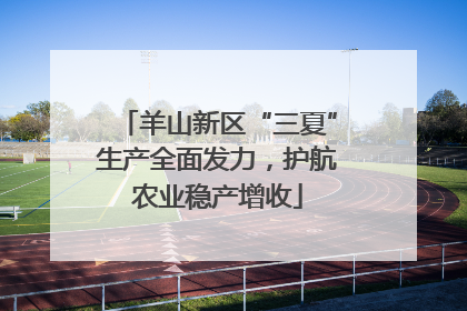 羊山新区“三夏”生产全面发力，护航农业稳产增收