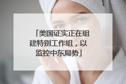 美国证实正在组建特别工作组，以监控中东局势