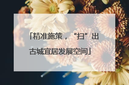 精准施策，“扫”出古城宜居发展空间